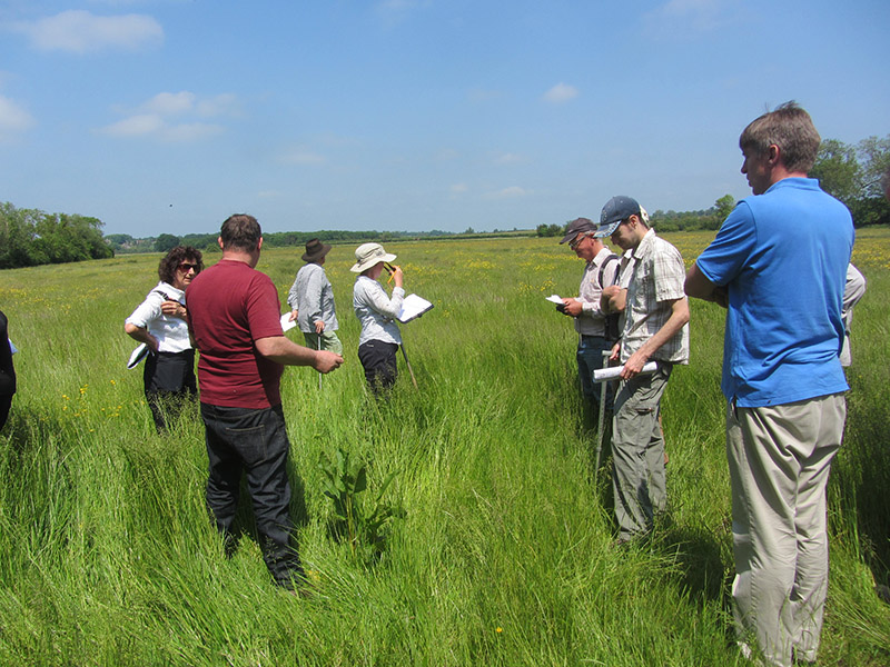 Image of researchers in a field