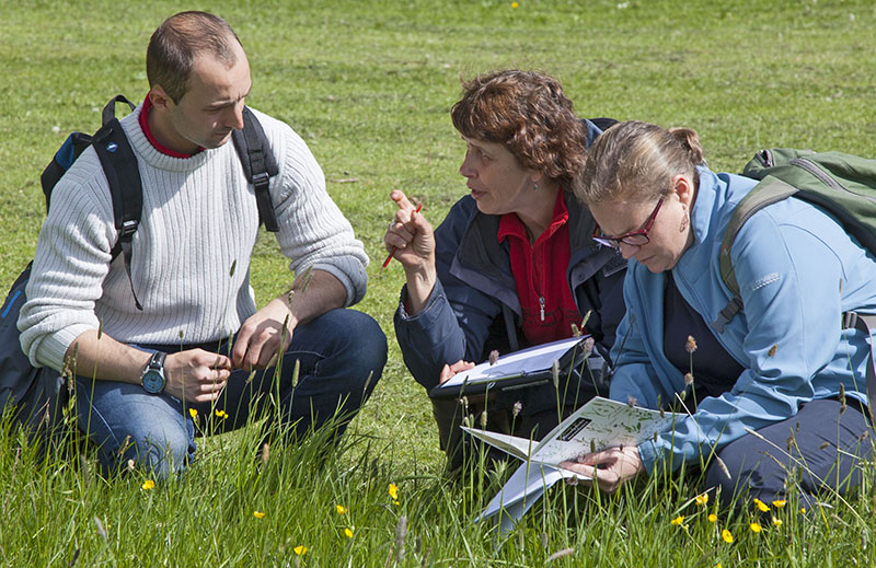 Image of researchers in a field - copyright Mike Dodd