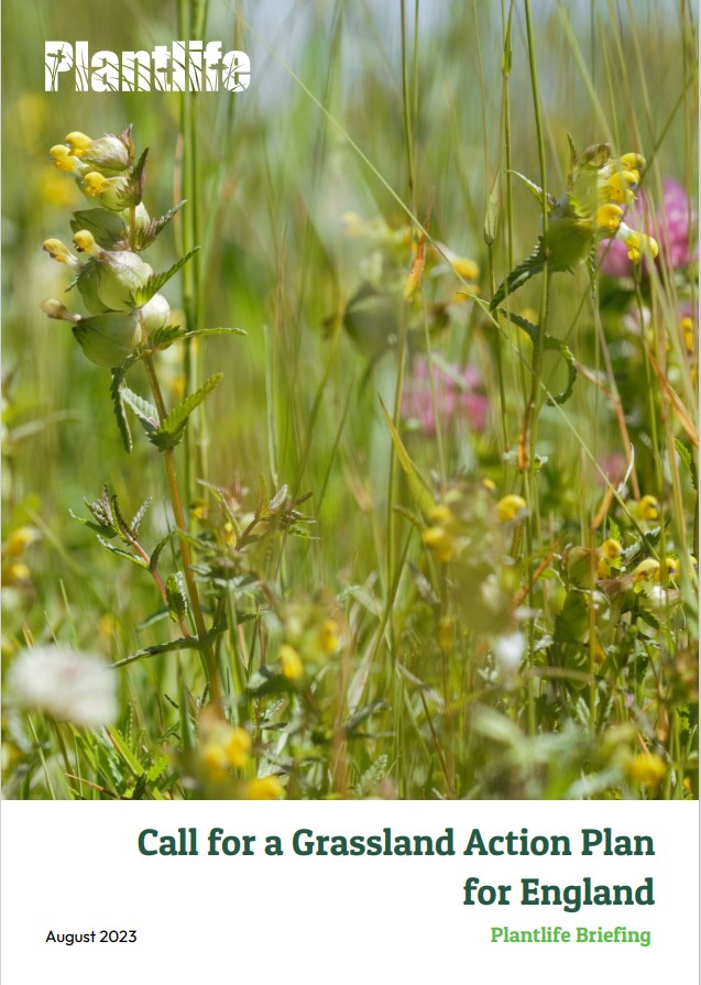 Front cover for the plant life briefing 'Call for a Grassland Action Plan for England' - August 2023