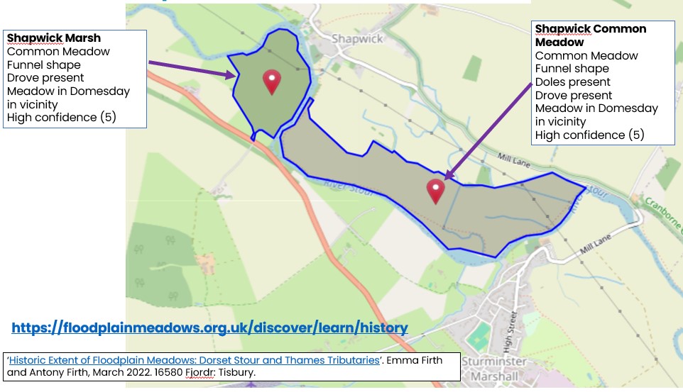 Meadow map for Shapwick