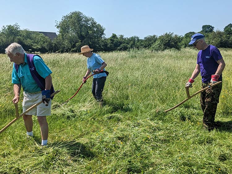 Volunteer scythers at work