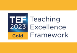 Teaching Excellence Framework 2023 Gold Award logo