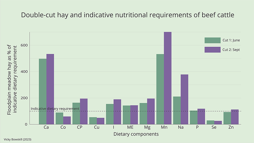 Figure 6: Nutritional requirements of beef cattle