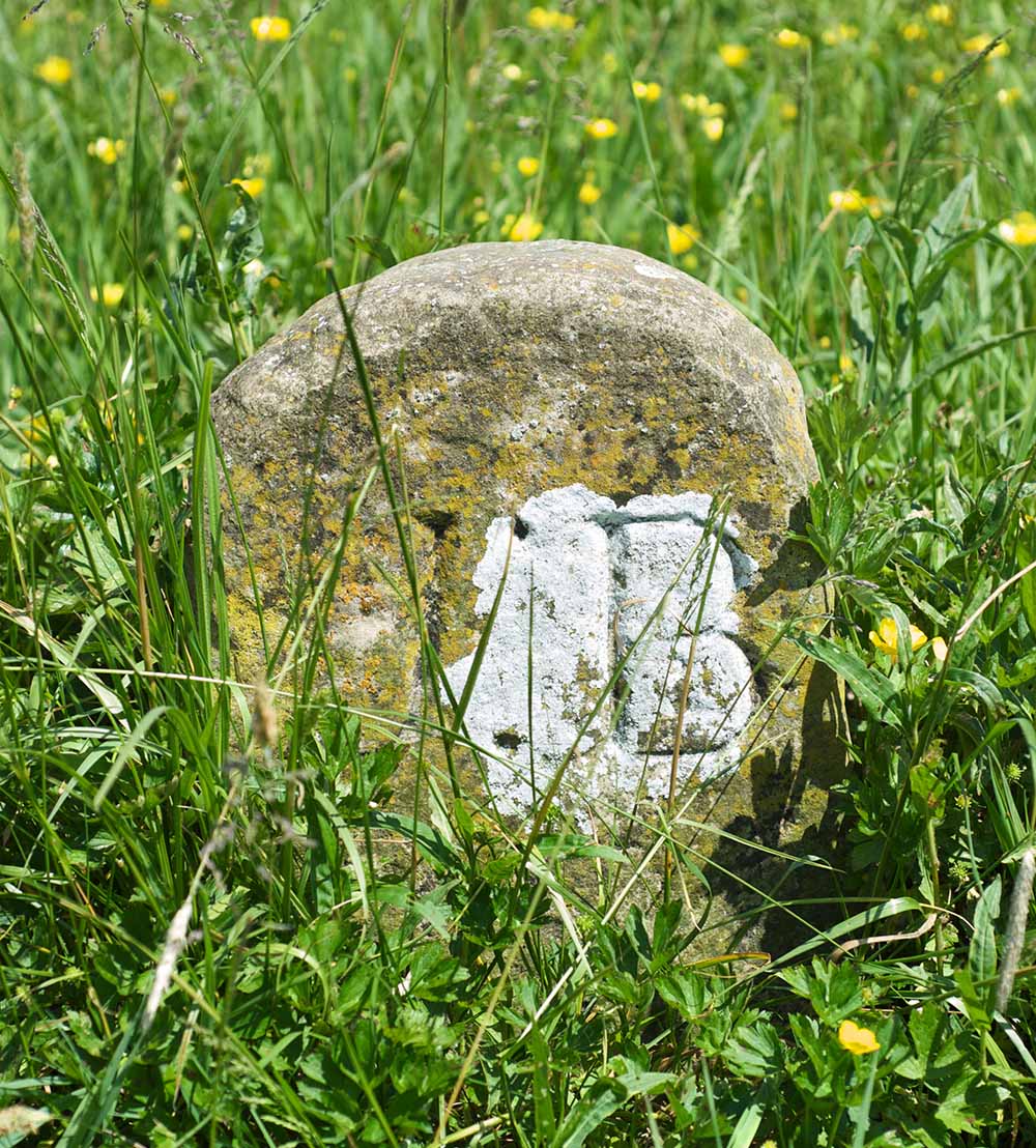 Image of a dole stone