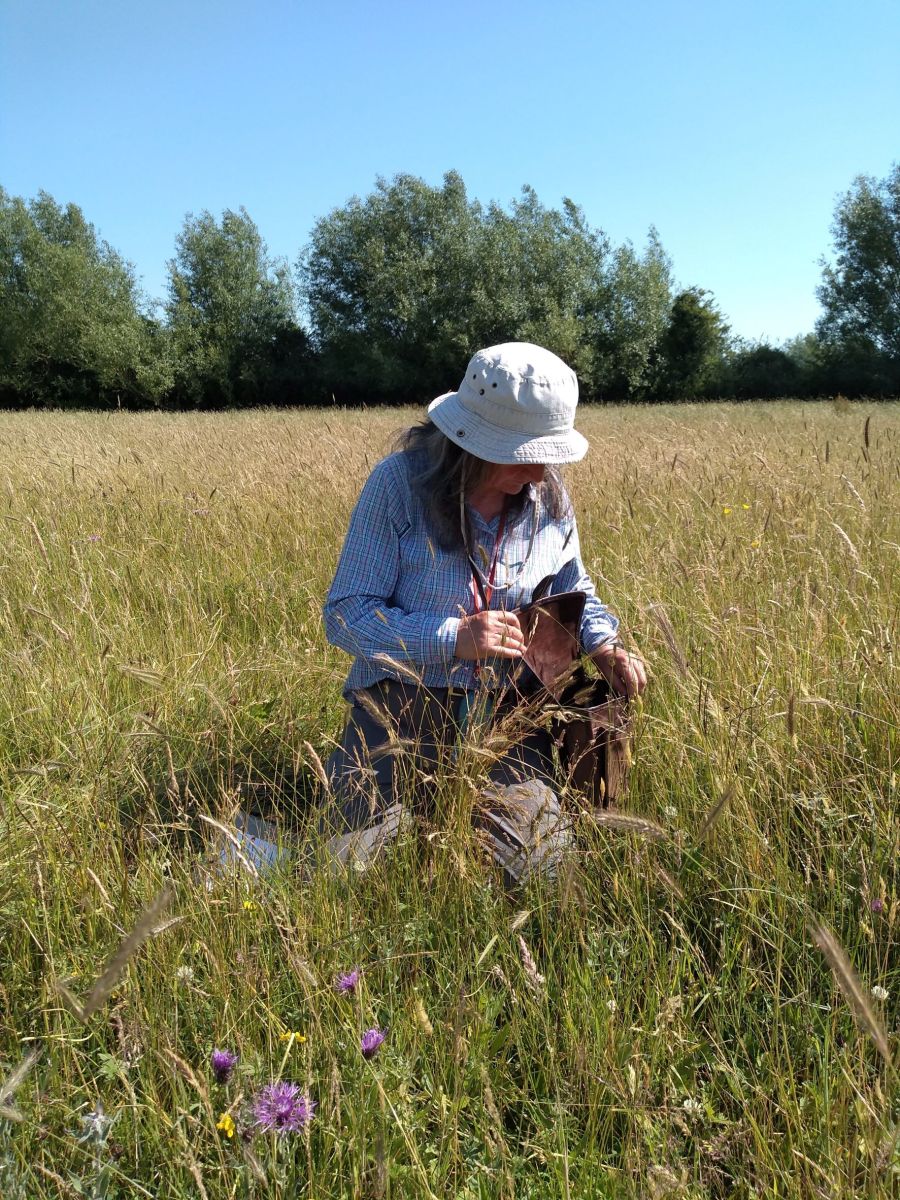 Image of Juliet Bailey in a field