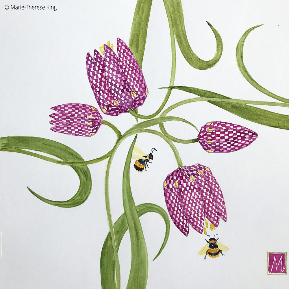 Painting of Fritillary by Marie-Therese King