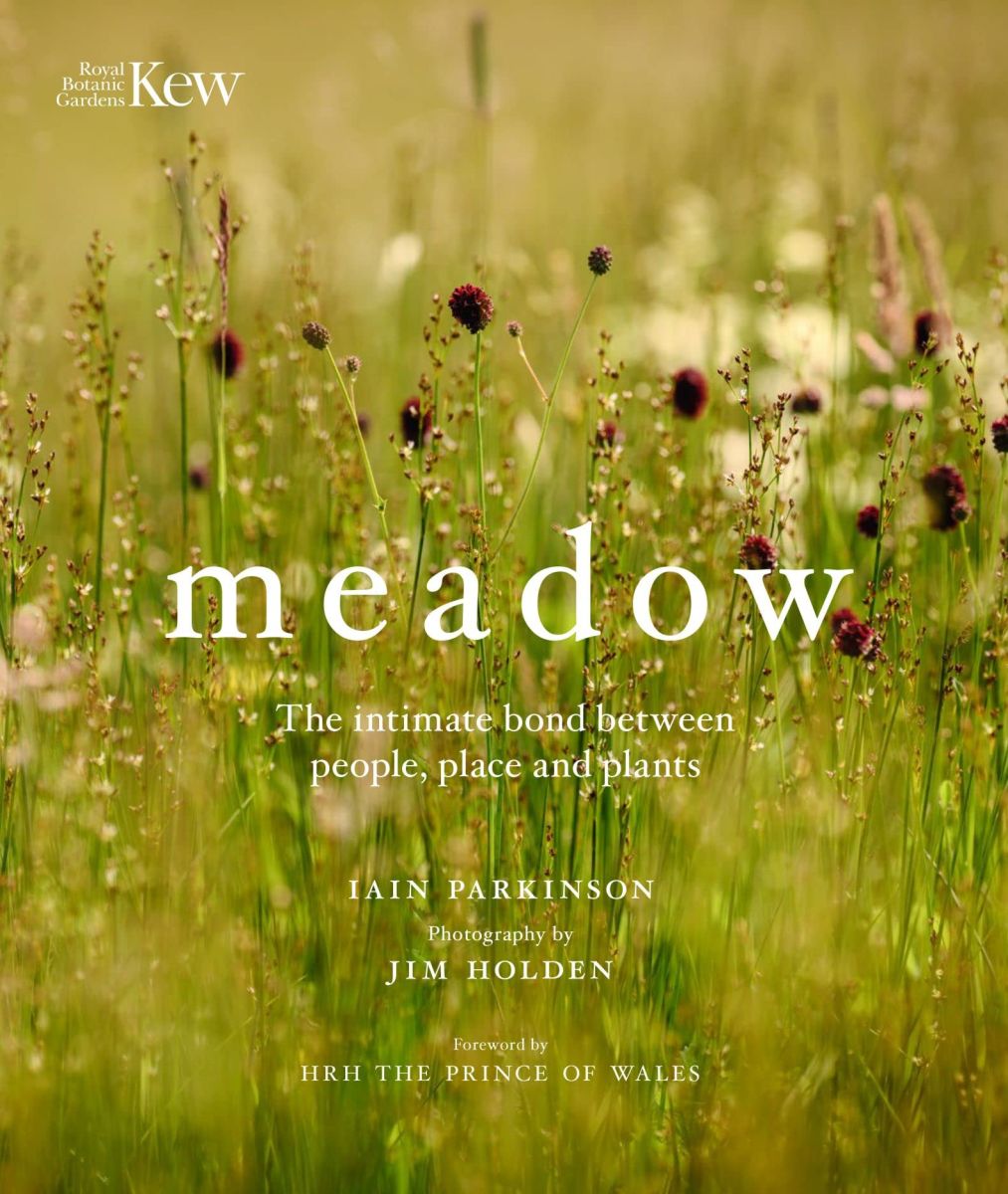 Book cover for 'Meadow: The intimate bond between plants and places"