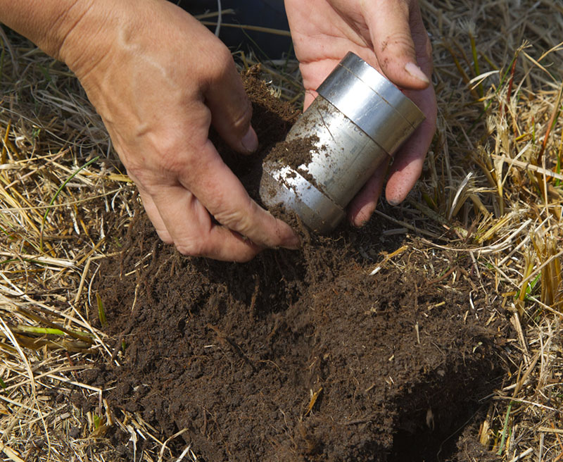 Image of a soil core sample being taken