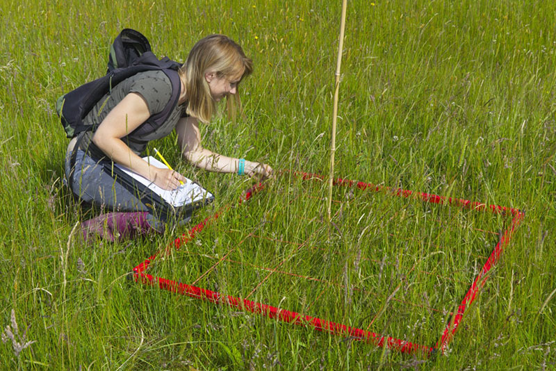 Image of a PhD student taking measurements in a field