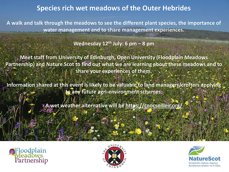Species-rich wet meadows of the Outer Hebrides