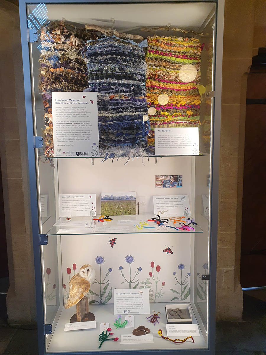 Display from summer meadow art workshop