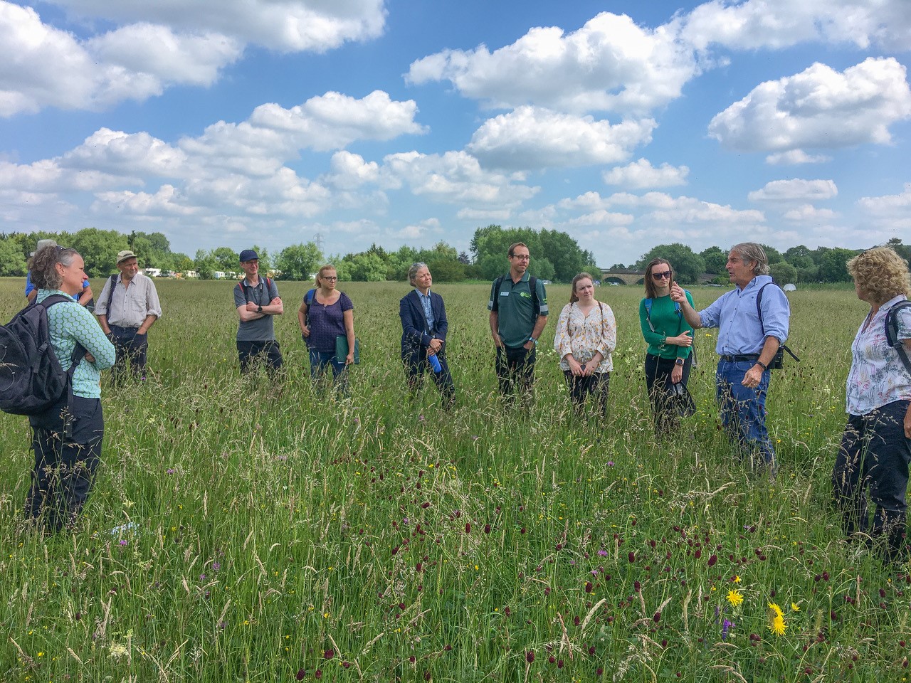 Group of people standing in a field meadow