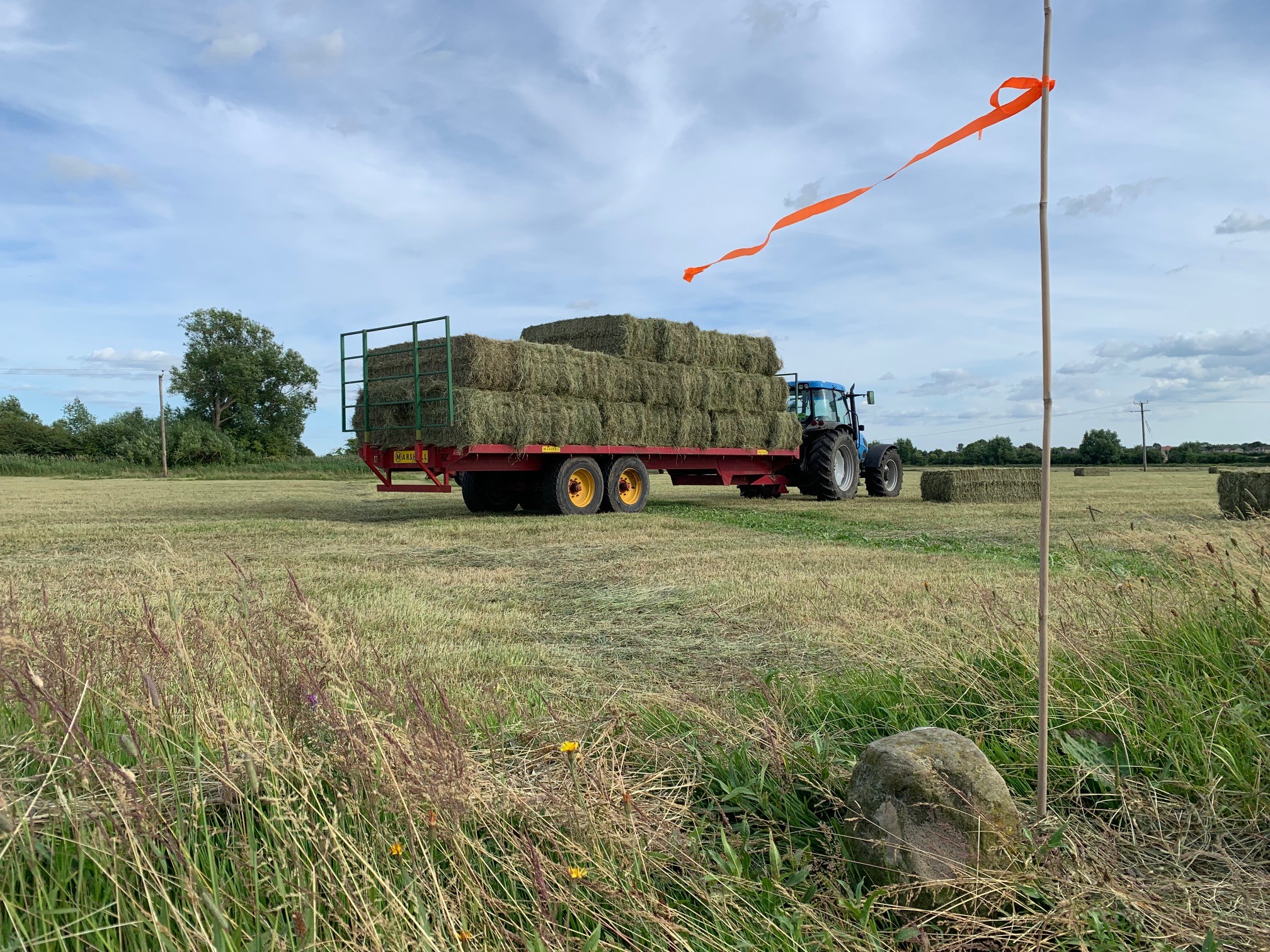 Tractor pulling trailer of hay bales in a field